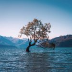 blog-10